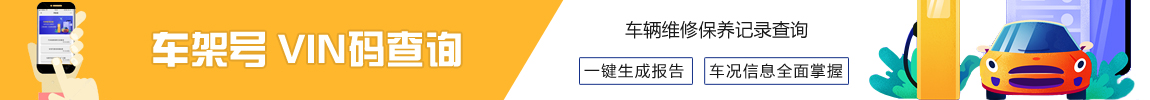 车辆信息查询